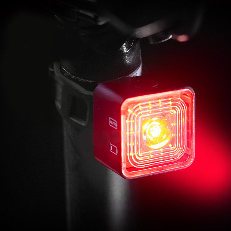 Luz Trasera Accesorios 43802-1