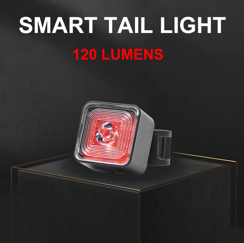 Luz Trasera Accesorios 43802-1